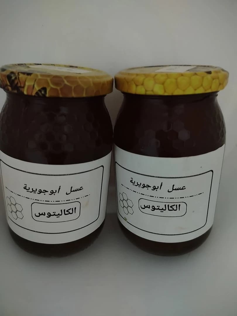 عسل الكاليتوس