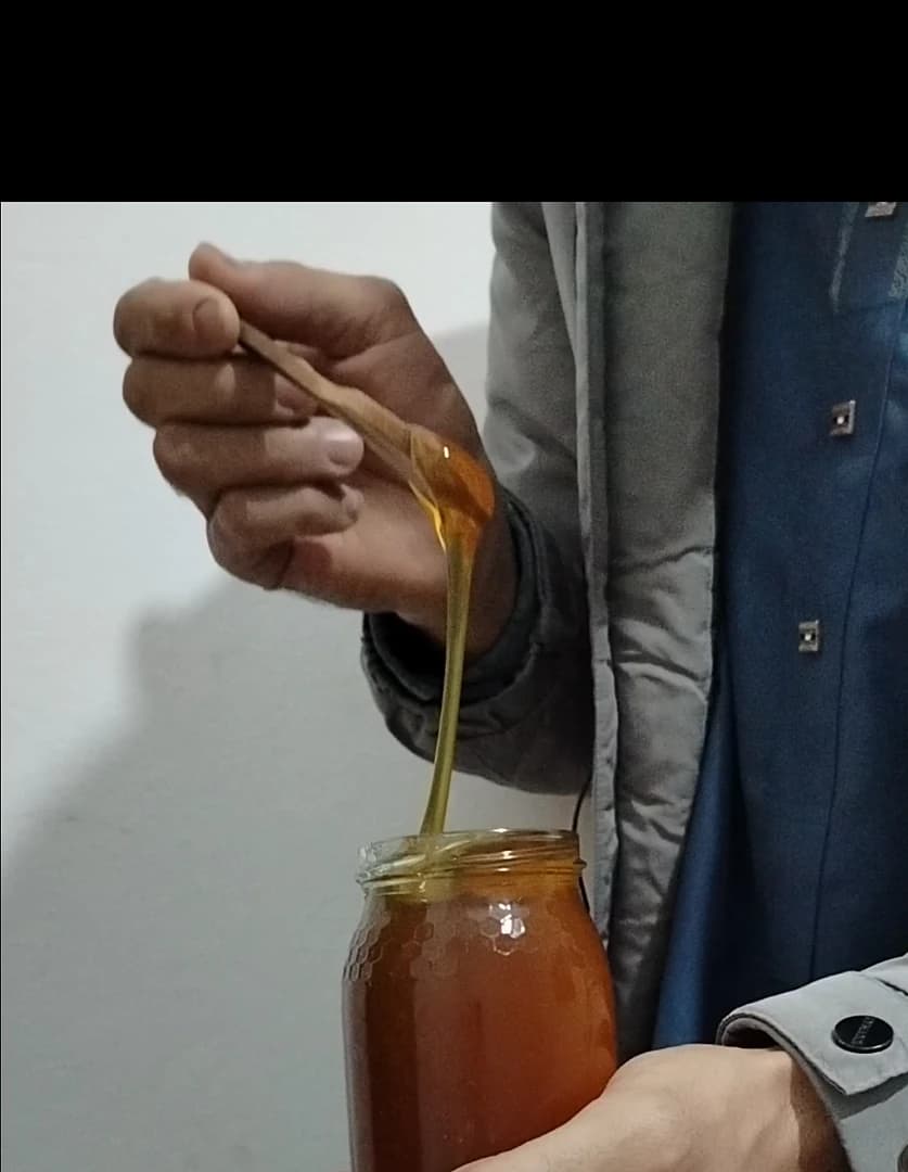 احمد ب